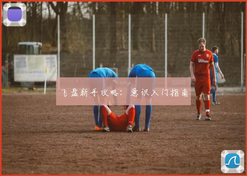 飞盘新手攻略：意识入门指南