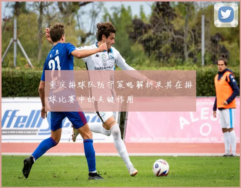 重庆排球队防守策略解析及其在排球比赛中的关键作用